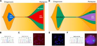 Comprehensive detection of CRLF2 alterations in acute lymphoblastic leukemia: a rapid and accurate novel approach